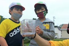 旧帯広川で生物観察　帯広東小 2