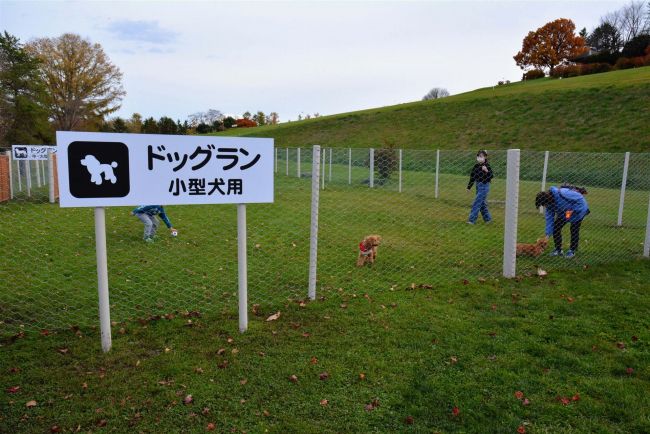 清水公園にドッグラン完成　清水