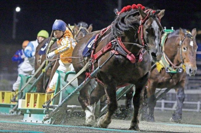 シンザンボーイ差し切りＶ、ばんえいドリームエイジカップ