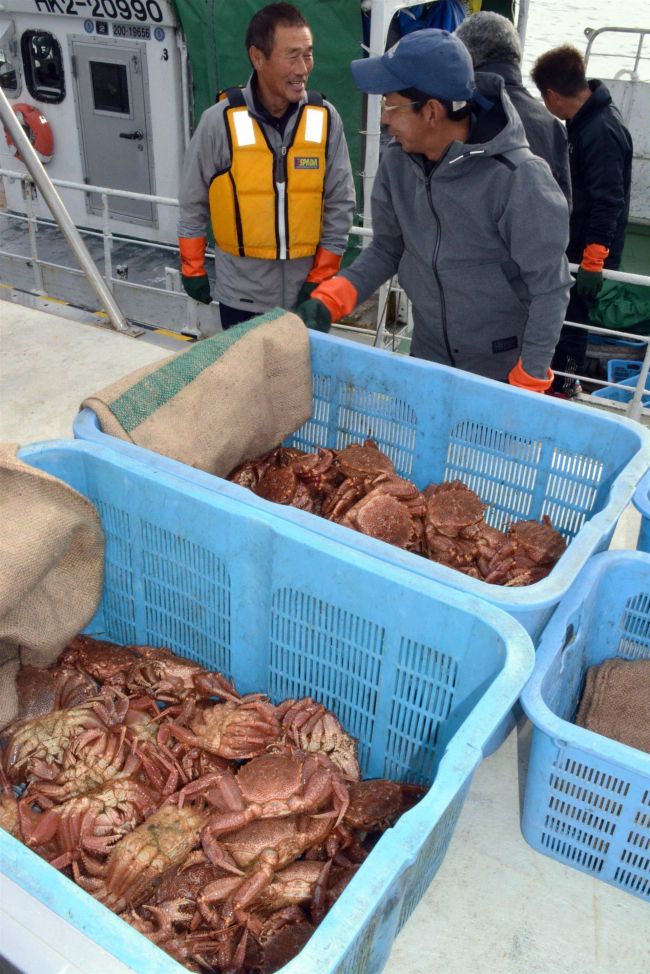 漁獲量少なく、オンライン販売見合わせ　広尾毛がにまつり