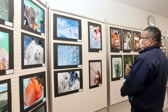 おびひろ動物園と管内高校写真部がコラボ写真展　４日から冬季開園中に開催