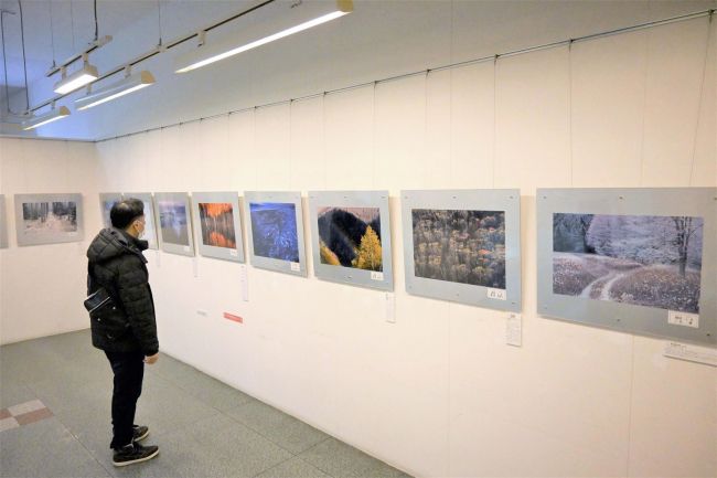 【写真】全国入賞作一堂に　いっきゅうで展示