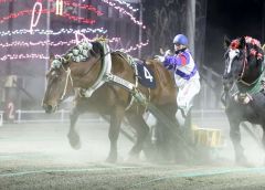 ４歳のオーシャンウイナー逃げ切りＶ、重賞３勝目　ばんえいポプラ賞