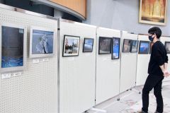 大樹でことぶき大学作品展 2