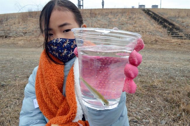 【写真】こぼれ話「豊頃大津小と大津保育所の子どもたちがサケ稚魚放流」