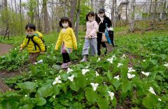 オオバナノエンレイソウなど、草花を観察しながら園内を散策する親子連れ（４日午前１０時１５分ごろ、帯広市野草園で。金野和彦撮影）