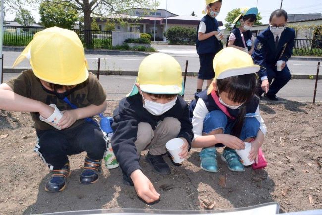 【写真】こぼれ話「池田カトリック幼稚園児ら池田署でヒマワリの種まき　絆プロジェクト」