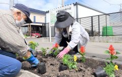 太陽町内会が花壇整備 2