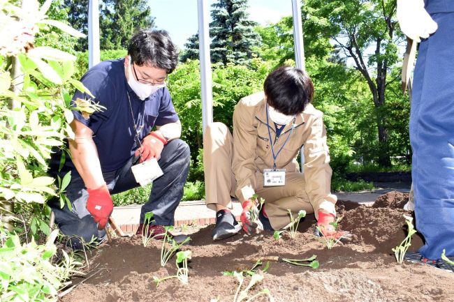 【写真】こぼれ話「振興局前庭に『アグリガーデン』」