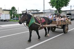 桃姫が引く馬車の乗車体験に参加する子どもたち