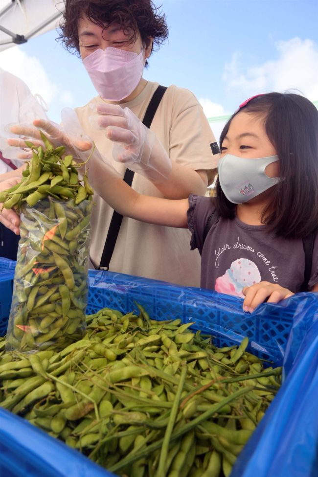 朝取り枝豆どっさり３００キロ！　ＪＡめむろが「えだまめ祭り」