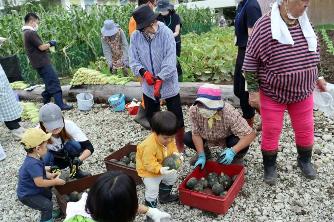 カボチャ、枝豆、トウキビ･･･　町民や施設利用者が収穫体験　音更