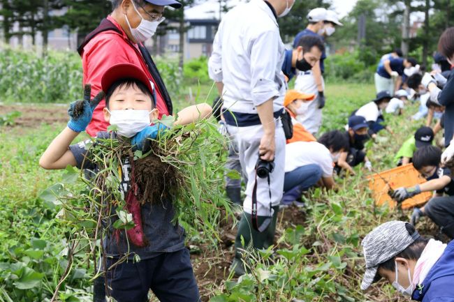 収穫に笑顔咲く　帯農生と障害のある人が農作業　すこやか農園