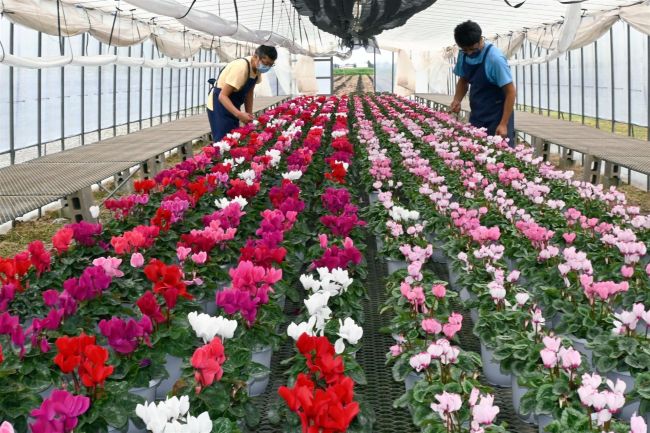 おじゃまします「青木園芸」