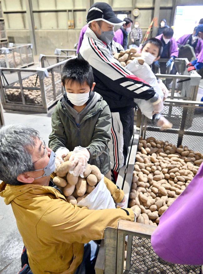 メークイン詰め放題に行列　ＪＡ帯広大正