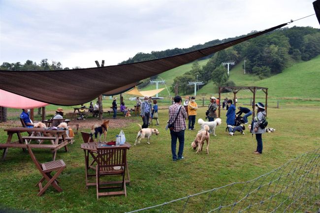 芽室新嵐山でワンダフルフォレスト　愛犬家らにぎわう