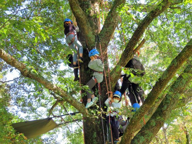 札内川園地でツリーイング体験　中札内