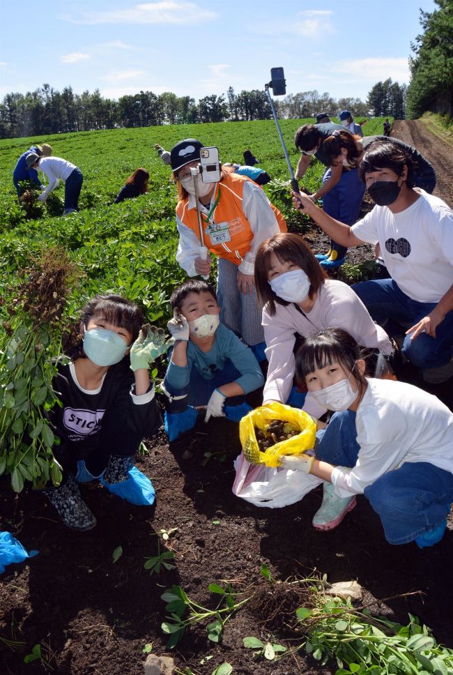 芽室で落花生収穫、親子体験、コープ地区会