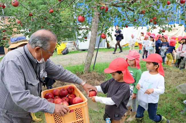 園児にリンゴをプレゼント　芽室・松下リンゴ園