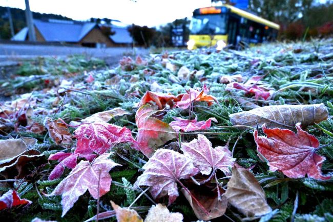 十勝管内、気温下がる、５カ所で氷点下、帯広で初霜＆初氷
