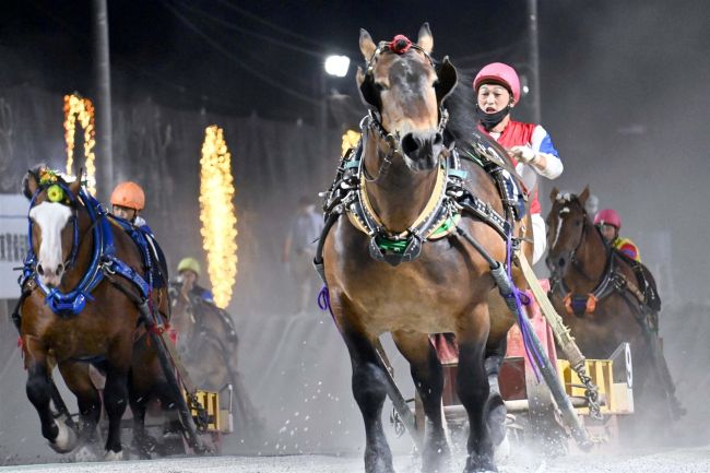 ばんえい過去最高ペース、販売額１４・７％増２７８億円　今年度前半