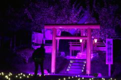 浦幌　乳神神社で乳がん啓発のライトアップ　１６日に全国一斉　神社では１０月中毎週土曜に点灯中