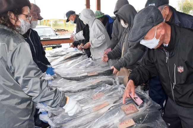 豊頃で秋サケ限定販売