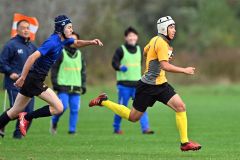 帯柏葉・士幌がＶ　全十勝高校ラグビー新人大会