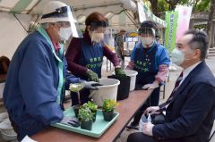 鹿追の花苗無料配布　町が台東区イベントに参加