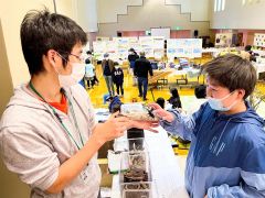 豊似地区で文化祭　クワガタも登場　広尾
