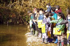 サケの遡上を児童が見学　浦幌