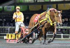 サクラヒメ圧巻の走りで優勝　ばんえいクインカップ