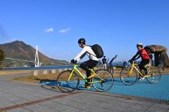 「自転車を新たな観光資源に」　観光協会と市がサイクリストの聖地・しまなみ海道視察