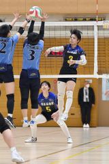 十勝勢女子３校が初戦突破、帯南商は３回戦へ　全日本バレーボール高校選手権