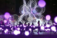 札幌でホワイトイルミネーション開幕　７４万個の電飾輝く