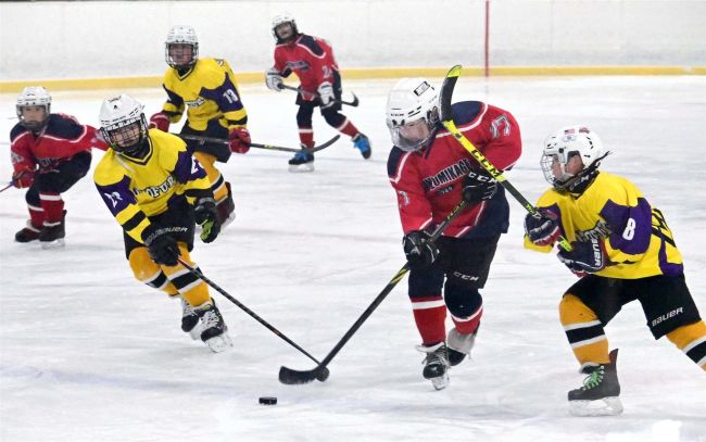 【写真】清水御影・開西B優勝、Vortex大空2位 アイスホッケー帯広信金杯PeeWee大会