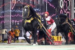 あっぱれインビクタ逃げ切りＶ、ばんえい十勝オッズパーク杯
