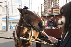 うまちゃん dショッピング |うまかっちゃん （5食入） | カテゴリ：麺類 その他の