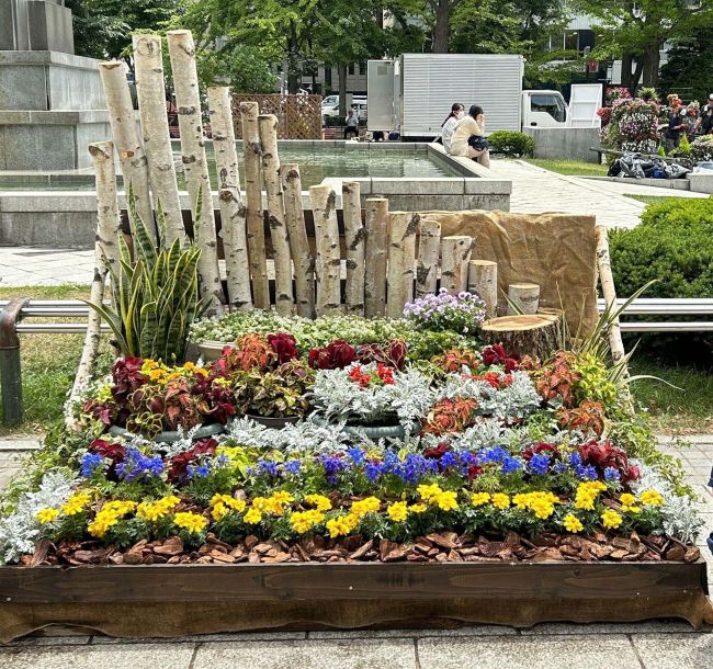 士幌高生　ガーデニング甲子園で全道特別賞　３～１５日に高校で展示