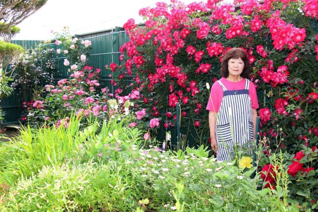 鹿追で花フェスタ開幕、オープンガーデンも　１７日まで