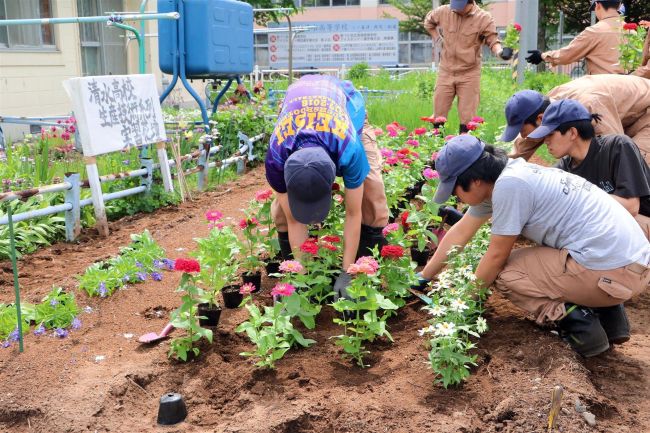 清水高生と住民が共同で花壇造り