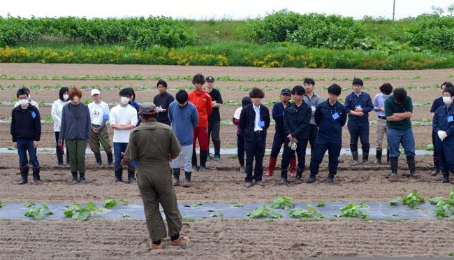 浦幌町内新人社員合同研修　基幹産業・農業を学ぶ