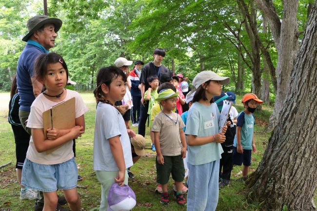 自然と触れ合い　豊頃の児童楽しむ　大樹の森や川で