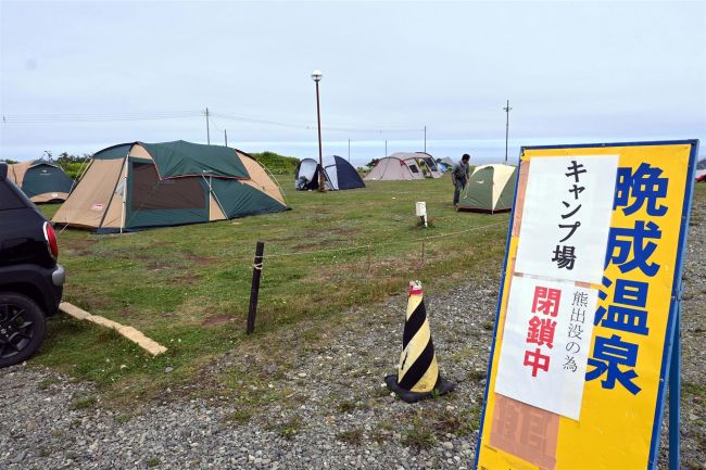 ポニーを襲う熊に警戒、キャンプ場は一時閉鎖　大樹