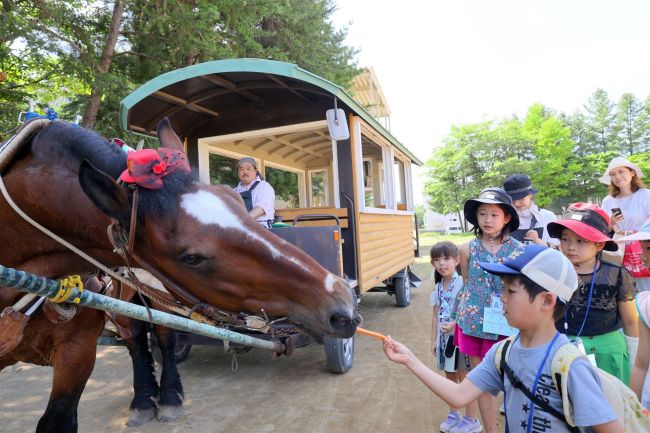 帯小でばん馬と交流　十勝の馬文化学ぶ