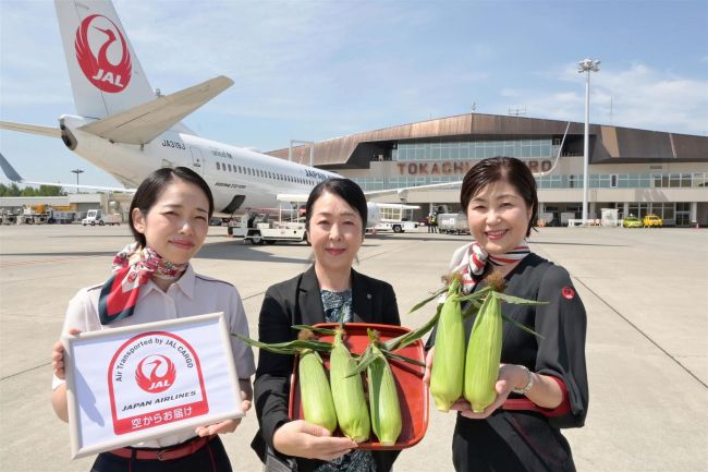 もぎたてトウモロコシ空輸で首都圏へ　ＪＡＬグループ