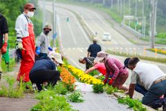 サンタランドの花壇で除草作業　広尾 2