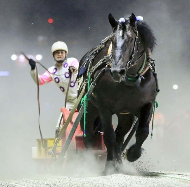 マルホンリョウユウ重賞初Ｖ、ばんえい大賞典