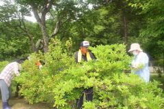 本別公園きれいに　町老人クラブ連合会が清掃奉仕活動 2