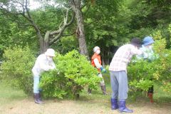 本別公園きれいに　町老人クラブ連合会が清掃奉仕活動 3